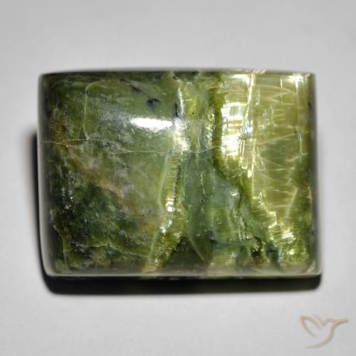21 x 15,9mm Opale Occhio di Gatto verde Cabochon a baguette dal Brasile, peso di 25,23 ct, pietra preziosa naturale non trattati in purezza Opaque, Opale Occhio di Gatto 1pz - il colore è Terra Verde, durezza Mohs di 5,5 - 6,5, Photo A