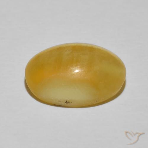 Cat's Eye Opal Gemstone in 13.4 x 9.9 mm Size for Sale, Cat's Eye Opal Stone in Golden-Orange Color