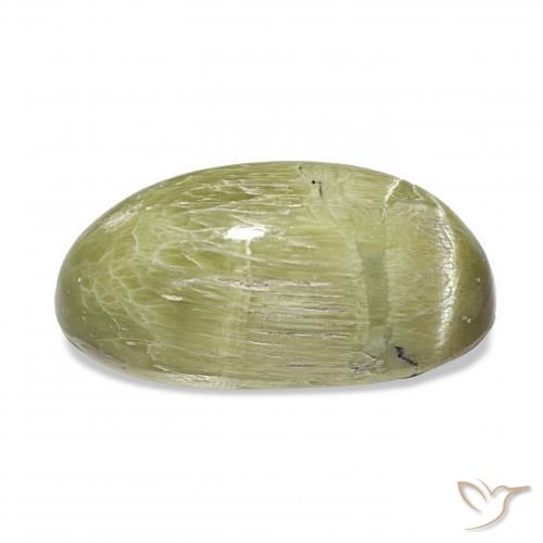 Cat's Eye Opal Gemstone in 18.6 x 9.3 mm Size for Sale, Cat's Eye Opal Stone in Yellowish Green Color