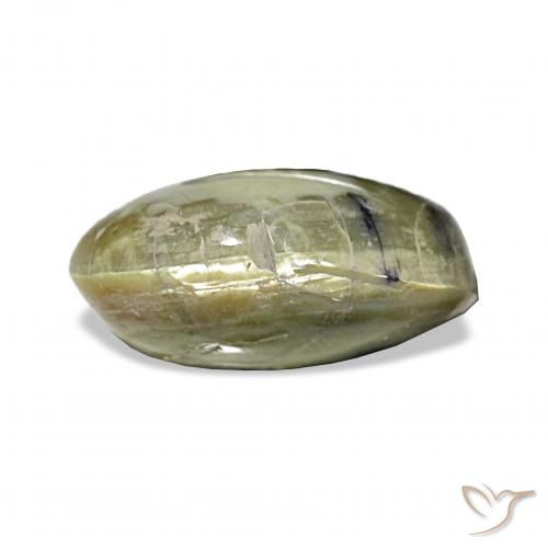 3.02ct Yellowish Green Cat's Eye Opal, Oval, Opaque