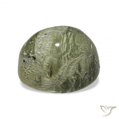 Cat's Eye Opal Gemstone in 11.3 x 9.8 mm Size for Sale, Cat's Eye Opal Stone in Yellowish Green Color