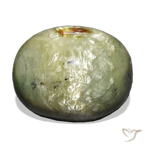 21.69 ct Green Cat's Eye Opal Gemstone, Cat's Eye Opal Gem in Cushion Cabochon Shape for Sale.