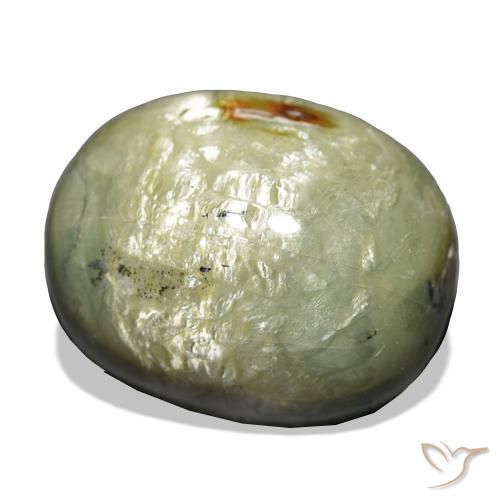 21.69 ct Green Cat's Eye Opal Stone, Natural Cat's Eye Opal in Cushion Cabochon Shape for Sale