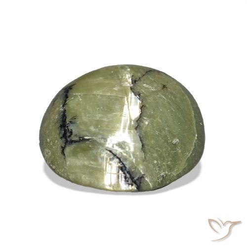Cat's Eye Opal Gemstone in 10 x 10 mm (calibrated) Size for Sale, Cat's Eye Opal Stone in Warm Green Color