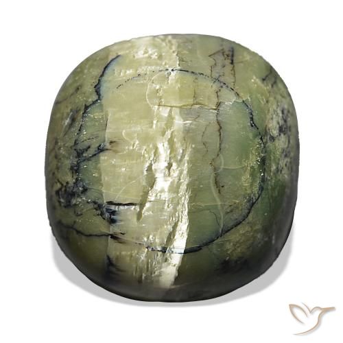 28.96 ct Green Cat's Eye Opal Gemstone, Cat's Eye Opal Gem in Cushion Cabochon Shape for Sale.