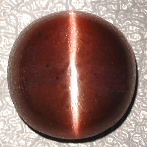 4.26 ct Brown Cat's Eye Scapolite Stone, Natural Cat's Eye Scapolite in Oval Cabochon Shape for Sale