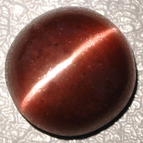 Cat's Eye Scapolite Gemstone in 10.3 x 10.2 mm Size for Sale, Cat's Eye Scapolite Stone in Dark Brown Color