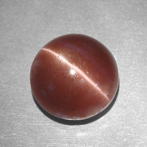 2.78 ct Brown Cat's Eye Scapolite Stone, Natural Cat's Eye Scapolite in Round Cabochon Shape for Sale