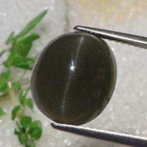 ダークチョコレートブラウン キャッツアイスキャポライト 宝石 - 7.3ct オーバル カボション (ID: 470132)