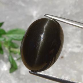 8.2ct Oval Cabochon Deep Brown Cat's Eye Scapolite for sale thumb image of 8.2ct Oval Cabochon Deep Brown Cat's Eye Scapolite (ID: 470133)