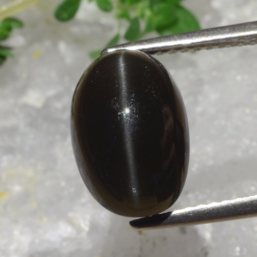 Marrón negruzco Escapolita Ojo de Gato Gema - 5.9ct Cabujón Óvalo (ID: 470134)