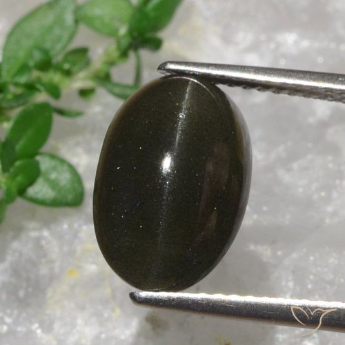 6.38 ct Oval Cat's Eye Scapolite, 12.6 x 8.5 mm From Madagascar, Photo A