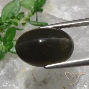 Cat's Eye Scapolite Gemstone in 12.6 x 8.5 mm Size for Sale, Cat's Eye Scapolite Stone in Blackish Brown Color