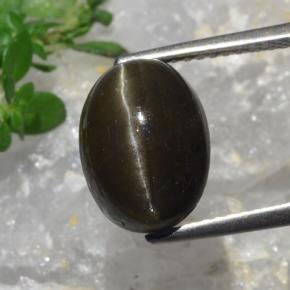 6.4ct Oval Cabochon Deep Brown Cat's Eye Scapolite Gem for sale 6.4ct Oval Cabochon Deep Brown Cat's Eye Scapolite Gem (ID: 470141)