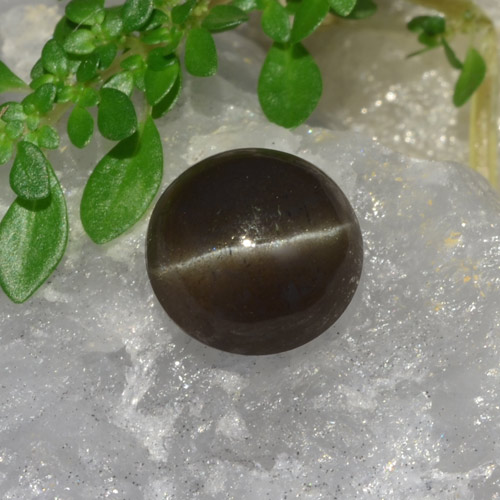 5,38 ct runder Skapolith Katzenauge aus Madagaskar, Größe: 10mm, Reinheit: Translucent, Garantiert echter Edelstein, 1 Stück Skapolith Katzenauge in Schwarz Farbe, Mohs-Härte von 5,5 - 6, Photo A