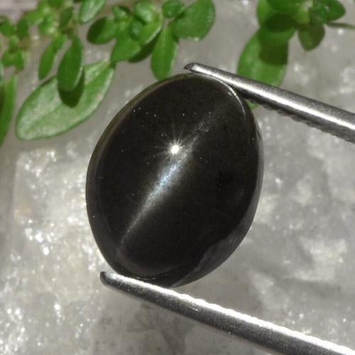 Black Cat's Eye Scapolite Gem - 6.3ct Oval Cabochon (ID: 470301)