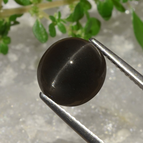 Escapolita Ojo de Gato Marrón Cabujón Redondo de 9,2mm de Madagascar, peso de 3.64 ct, piedra preciosa natural No tratado en claridad Translúcido, Escapolita Ojo de Gato de 1 pieza - Color: Marrón chocolate oscuro, dureza Mohs de 5.5 - 6, Photo A