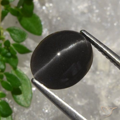 3.2 ct Oval Cat's Eye Scapolite, 10.6 x 8.5 mm From Madagascar, Photo A