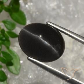 Cat's Eye Scapolite Gemstone in 10.6 x 8.5 mm Size for Sale, Cat's Eye Scapolite Stone in Dark Chocolate Brown Color