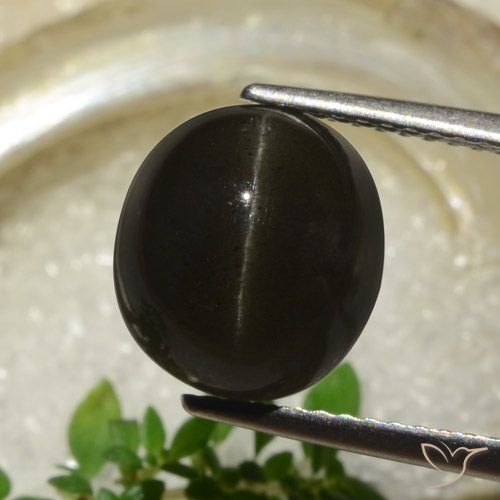 5.83 ct Oval Cat's Eye Scapolite, 10.2 x 9.3 mm From Madagascar, Photo A
