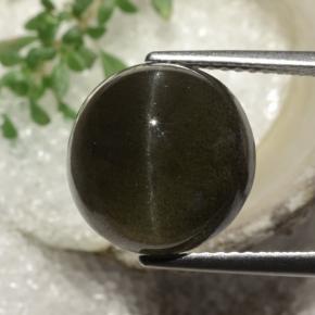 Dark Chocolate Brown Scapolite effetto occhio di gatto Gem - 8.2ct Cabochon rotondo (ID: 470427)