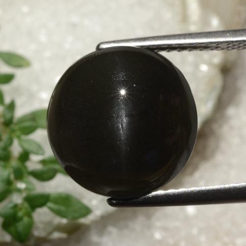 9,14 ct runder schwarzer Skapolith Katzenauge aus Madagaskar, Größe 11,8mm, Garantiert natürlicher Edelstein, Translucent Reinheit, 1 Stück Skapolith Katzenauge in Schwarz Farbe, Mohs-Härte von 5,5 - 6, Photo A