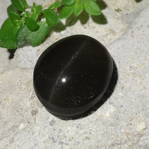 7.45 ct Oval Cat's Eye Scapolite, 12.6 x 10.1 mm From Madagascar, Photo A