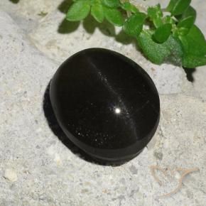 7.45 ct Black Cat's Eye Scapolite Stone, Natural Cat's Eye Scapolite in Oval Cabochon Shape for Sale