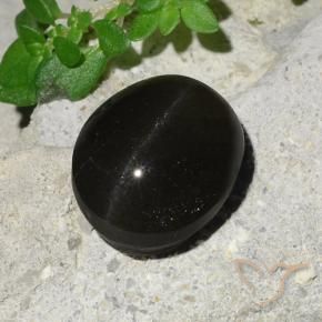Cat's Eye Scapolite Gemstone in 12.6 x 10.1 mm Size for Sale, Cat's Eye Scapolite Stone in Black Color