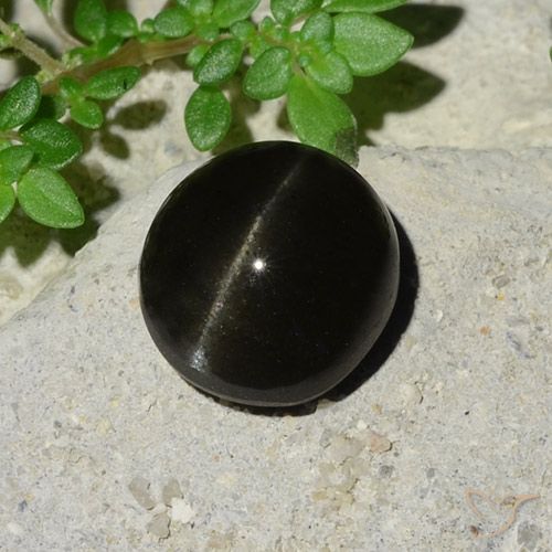5.12 ct Oval Cat's Eye Scapolite, 10 x 9.2 mm From Madagascar, Photo A