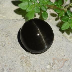 5.12 ct Black Cat's Eye Scapolite Stone, Natural Cat's Eye Scapolite in Oval Cabochon Shape for Sale