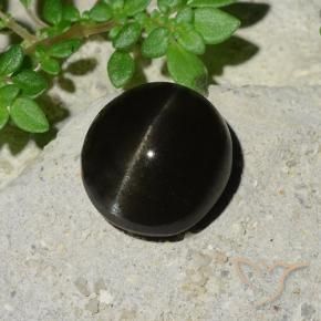 Cat's Eye Scapolite Gemstone in 10 x 9.2 mm Size for Sale, Cat's Eye Scapolite Stone in Black Color