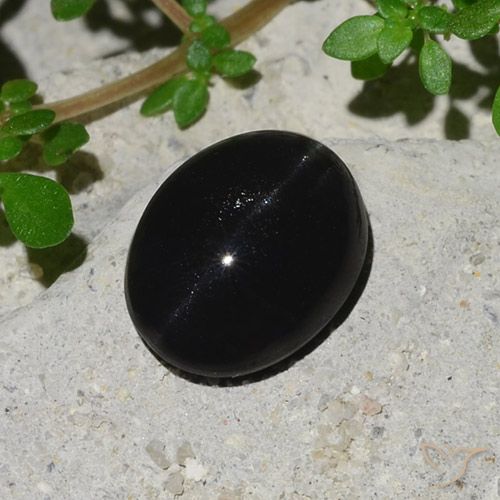 4.1 ct Oval Cat's Eye Scapolite, 11.3 x 8.8 mm From Madagascar, Photo A
