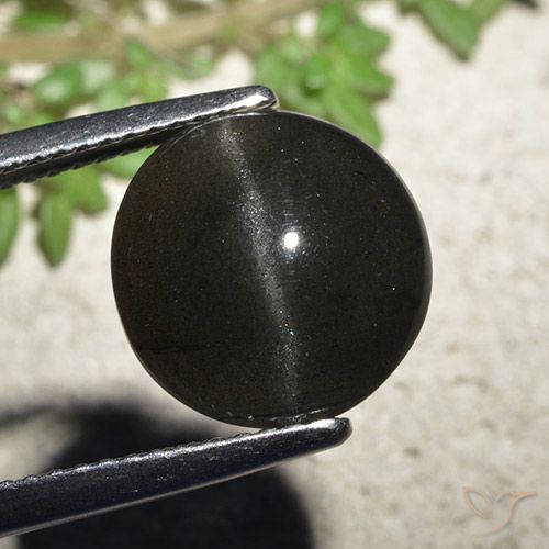 6.48 ct Round Cat's Eye Scapolite, 11.1 mm From Madagascar, Photo A