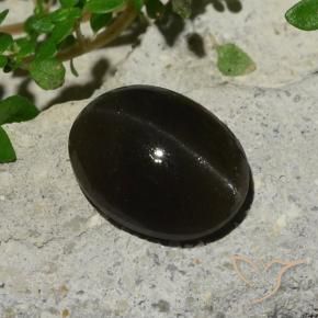 Cat's Eye Scapolite Gemstone in 11.9 x 9.1 mm Size for Sale, Cat's Eye Scapolite Stone in Black Color