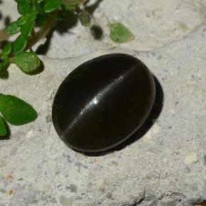 Black Cat's Eye Scapolite Gem - 5.2ct Oval Cabochon (ID: 484110)