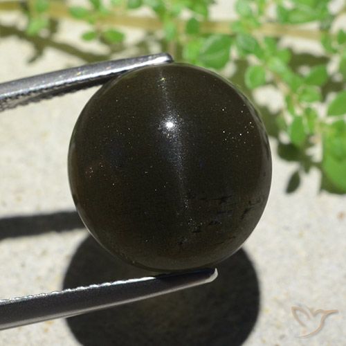 14.13 ct Oval Cat's Eye Scapolite, 14.6 x 13.9 mm From Madagascar, Photo A