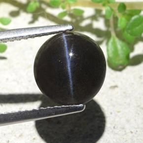 Nero Scapolite effetto occhio di gatto Gem - 3.7ct Ovale cabochon (ID: 484116)