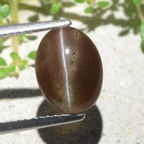 Warm Brown Scapolite effetto occhio di gatto Gem - 3.8ct Ovale cabochon (ID: 484117)