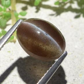 3.84 ct Brown Cat's Eye Scapolite Stone, Natural Cat's Eye Scapolite in Oval Cabochon Shape for Sale
