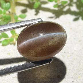 Cat's Eye Scapolite Gemstone in 10.6 x 8 mm Size for Sale, Cat's Eye Scapolite Stone in Warm Brown Color