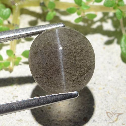 3.94 ct Oval Cat's Eye Scapolite, 9.6 x 9.2 mm From Madagascar, Photo A