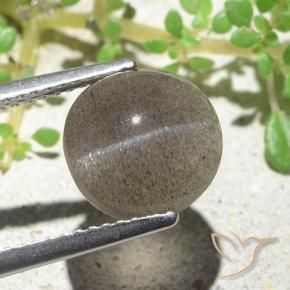Cat's Eye Scapolite Gemstone in 9.6 x 9.2 mm Size for Sale, Cat's Eye Scapolite Stone in Medium-Light Brown Color