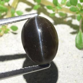 Черный Скаполит Кошачий Глаз Камень - 3.7ct Овал Кабошон (ID: 484122)