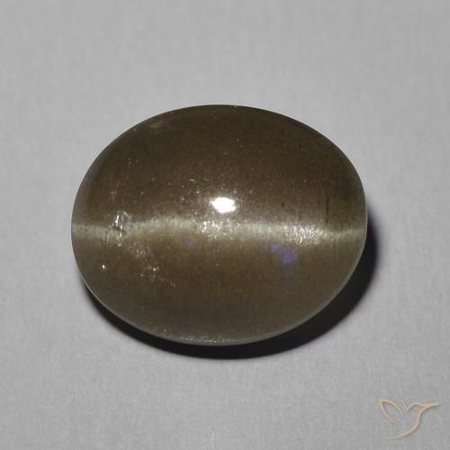 5.81 ct Oval Cat's Eye Scapolite, 11.5 x 9.3 mm From Madagascar, Photo A