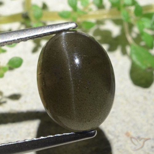 4.7 ct Oval Cat's Eye Scapolite, 11.4 x 8.5 mm From Madagascar, Photo A