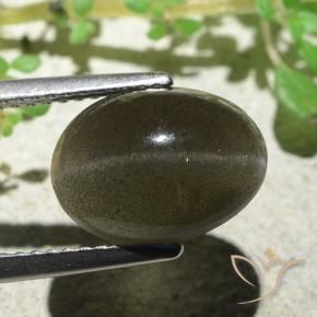 Cat's Eye Scapolite Gemstone in 11.4 x 8.5 mm Size for Sale, Cat's Eye Scapolite Stone in Medium-Light Brown Color