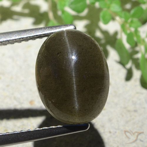 4.97 ct Oval Cat's Eye Scapolite, 11.1 x 8.5 mm From Madagascar, Photo A