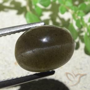 Cat's Eye Scapolite Gemstone in 11.1 x 8.5 mm Size for Sale, Cat's Eye Scapolite Stone in Medium-Light Brown Color