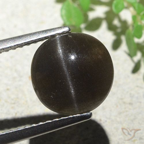 3.87 ct Round Cat's Eye Scapolite, 9.7 mm From Madagascar, Photo A